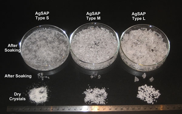 AgSAP Crystals in three sizes before and after soaking