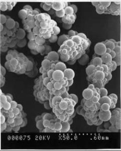 Scanning Electron Micrograph of MediSAP™ particles